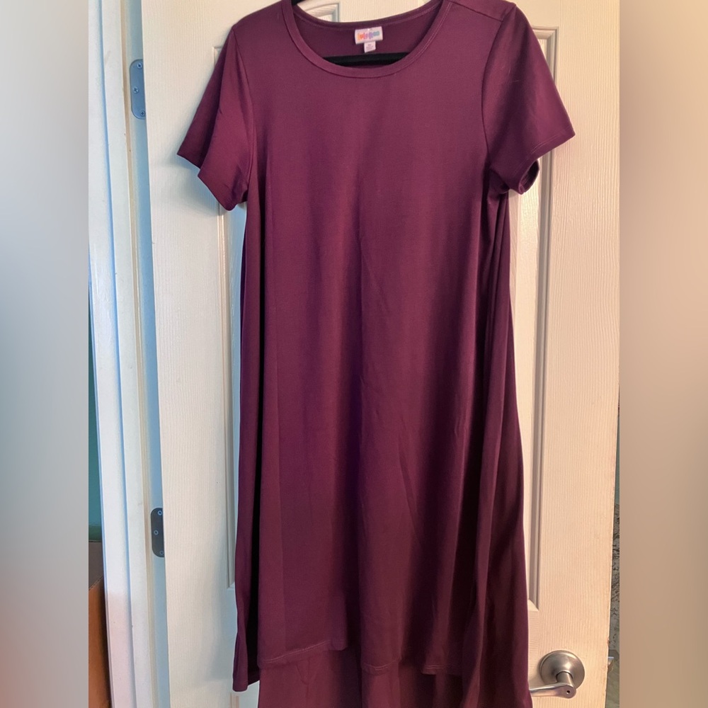LuLaRoe Carly Swing Dress